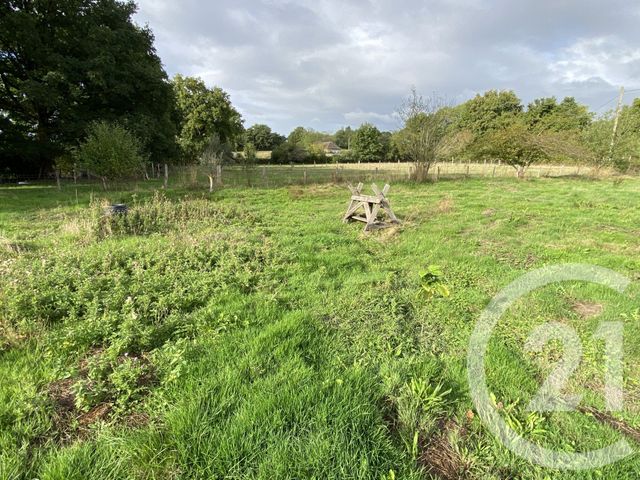 maison à vendre - 6 pièces - 179.08 m2 - LURCY LEVIS - 03 - AUVERGNE - Century 21 Confluences