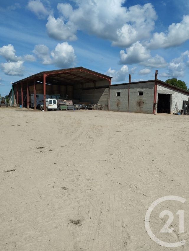 maison à vendre - 3 pièces - 45.0 m2 - SANCOINS - 18 - CENTRE - Century 21 Confluences