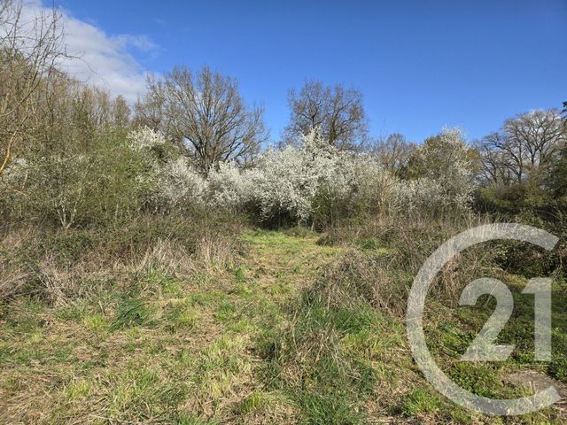 maison à vendre - 3 pièces - 74.38 m2 - GIVARDON - 18 - CENTRE - Century 21 Confluences