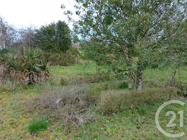 maison à vendre - 5 pièces - 125.51 m2 - FRANCHESSE - 03 - AUVERGNE - Century 21 Confluences