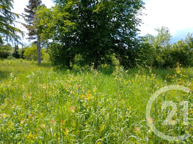 maison à vendre - 3 pièces - 87.48 m2 - LURCY LEVIS - 03 - AUVERGNE - Century 21 Confluences