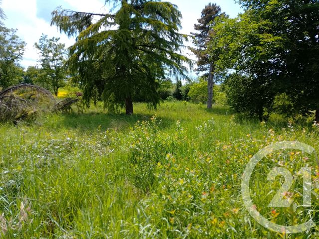 maison à vendre - 3 pièces - 87.48 m2 - LURCY LEVIS - 03 - AUVERGNE - Century 21 Confluences
