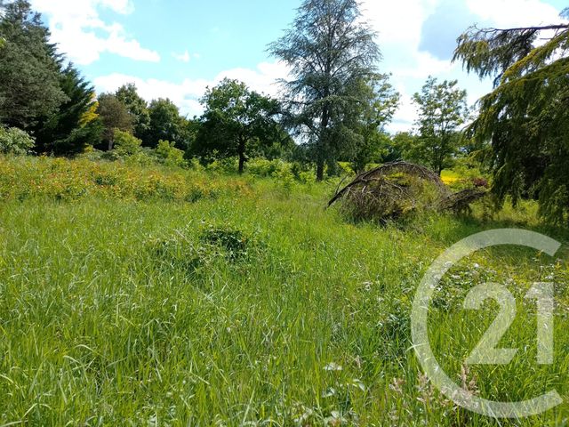 maison à vendre - 3 pièces - 87.48 m2 - LURCY LEVIS - 03 - AUVERGNE - Century 21 Confluences
