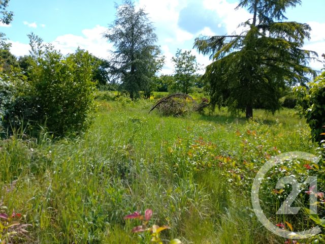 maison à vendre - 3 pièces - 87.48 m2 - LURCY LEVIS - 03 - AUVERGNE - Century 21 Confluences