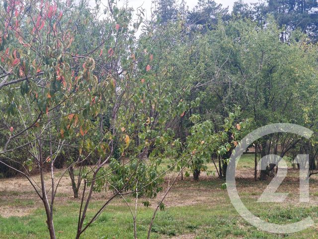 maison à vendre - 3 pièces - 77.0 m2 - LURCY LEVIS - 03 - AUVERGNE - Century 21 Confluences